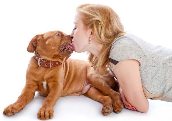 狗狗为什么老舔小便处（解释狗狗舔小便处的原因和可能的健康问题）