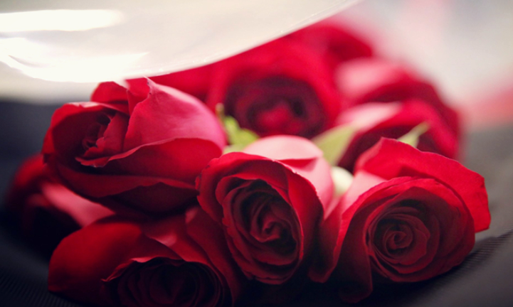 十大最漂亮的玫瑰花（展现十种不同颜色及款式的美丽玫瑰）