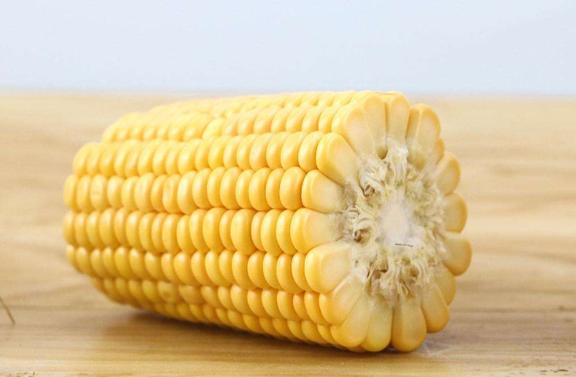 水果玉米和甜玉米的区别（对比水果玉米和甜玉米的区别和特点）
