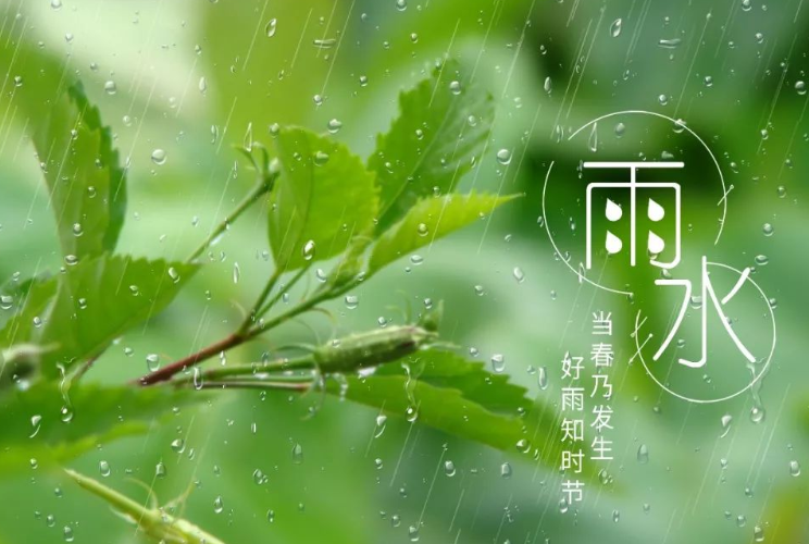 雨水是酸性还是碱性（揭秘雨水的酸碱性质）