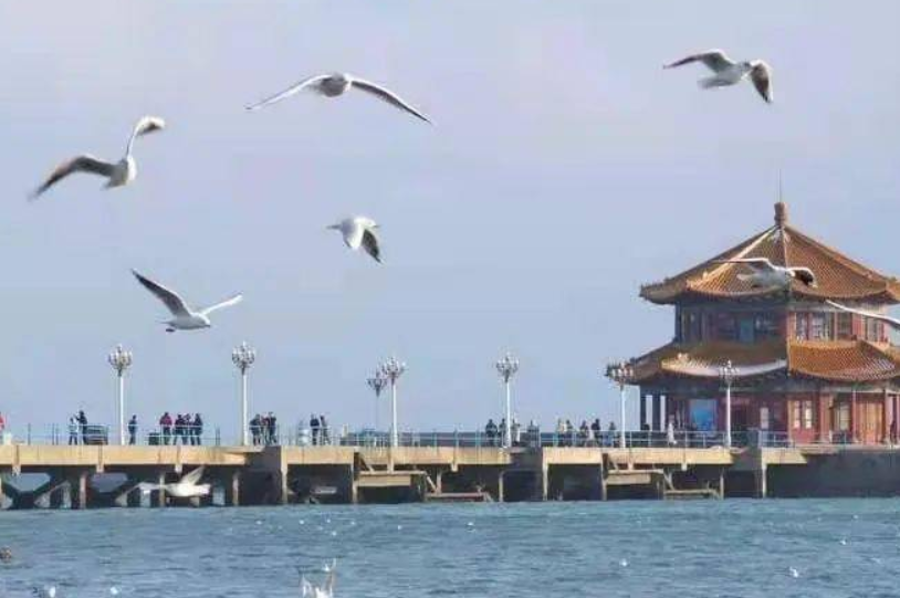 青岛免费的旅游景点（推荐青岛可免费游览的优质旅游景点）