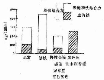 血清铁偏低是怎么回事（详细解读血清铁偏低的原因和相关疾病）