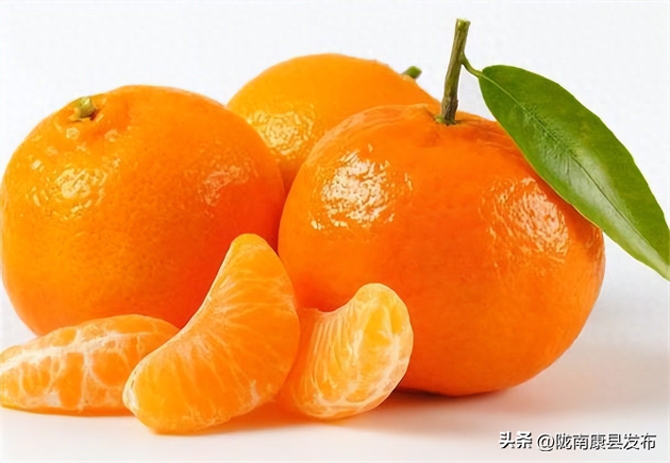 桔子与橘子有何区别（）