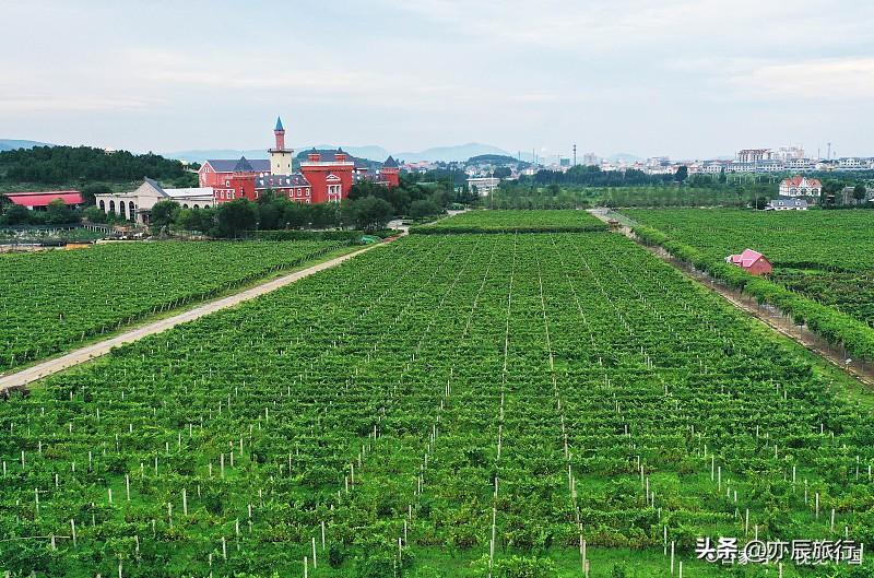 枣庄旅游景点（）