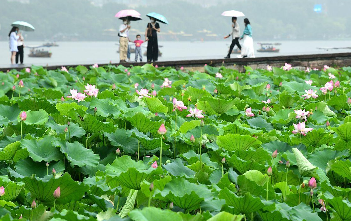 西湖十大景点（杭州西湖十景有哪些）