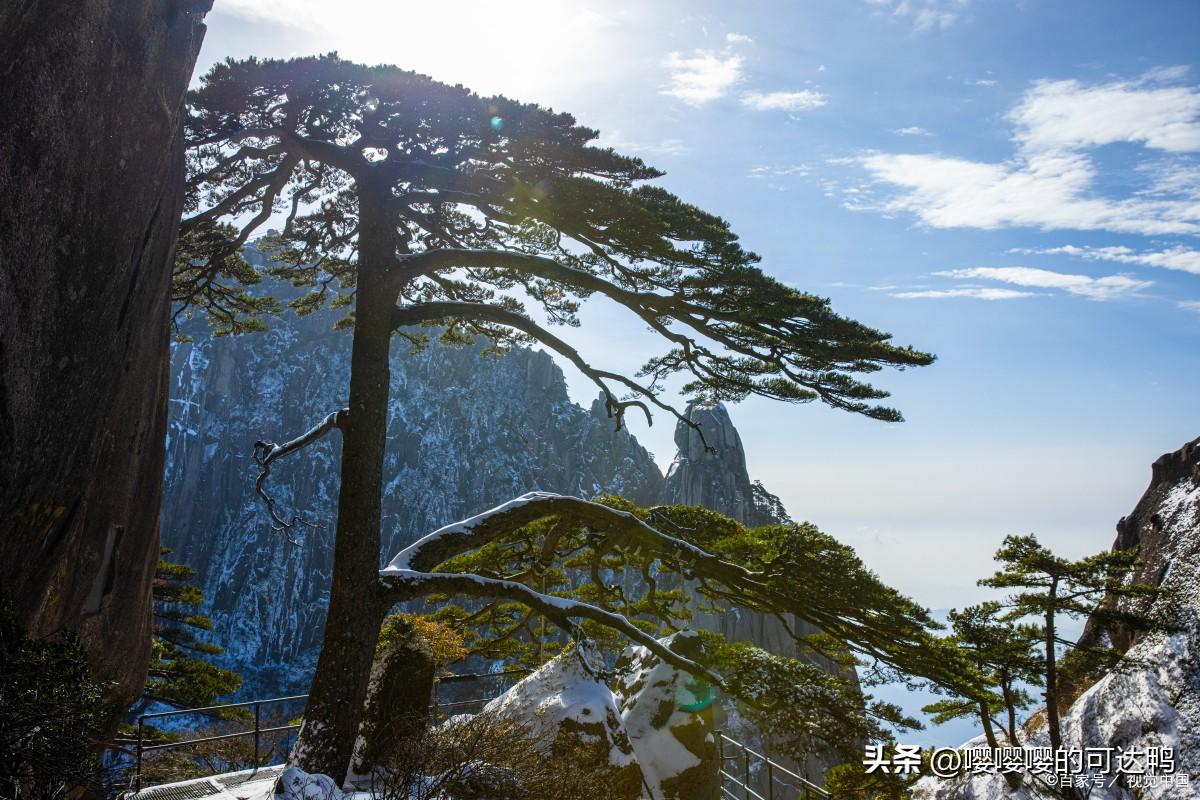 黄山旅游自由行攻略（黄山之旅：旅游攻略和建议）