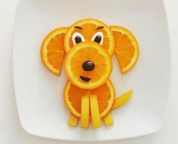 小狗能吃橘子吗（两个月大的小狗能吃橘子吗）