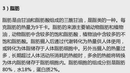 蛋白质与脂肪的区别与作用（比较蛋白质和脂肪在人体中的不同功能）