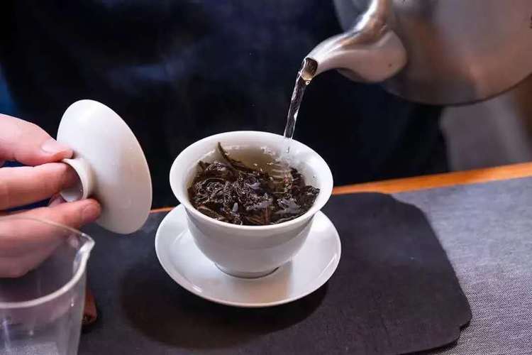 普洱茶怎么泡（教授普洱茶的正确泡法与品饮技巧）