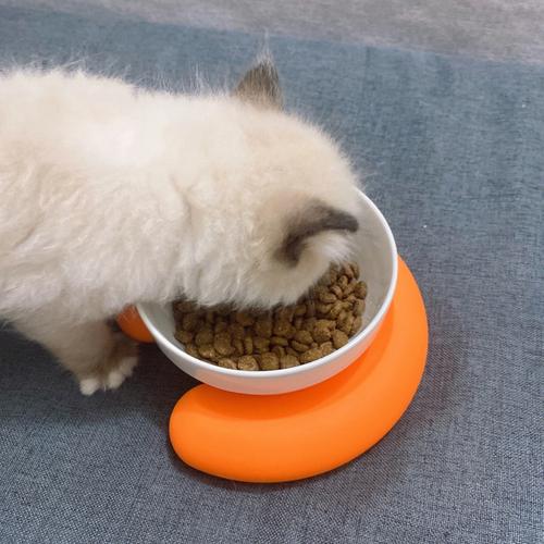 狗狗能吃猫粮吗 (讨论狗狗是否可以食用猫粮)