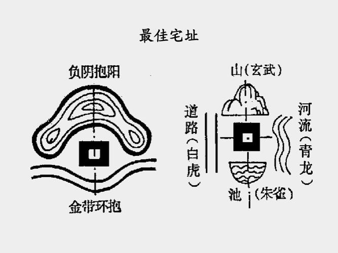 刺猬进宅的风水说法 (讲解刺猬进宅的风水说法)