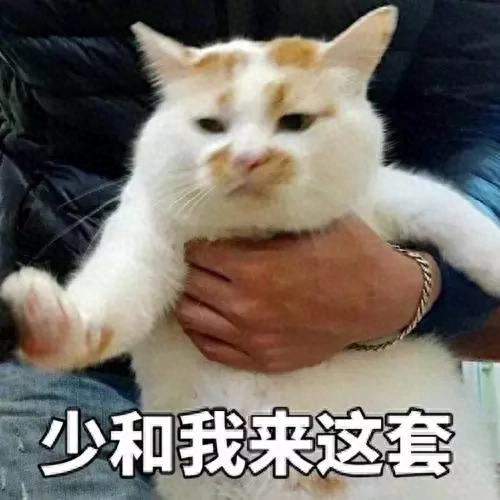 猫不能吃什么水果（猫咪不能吃的水果有哪些）