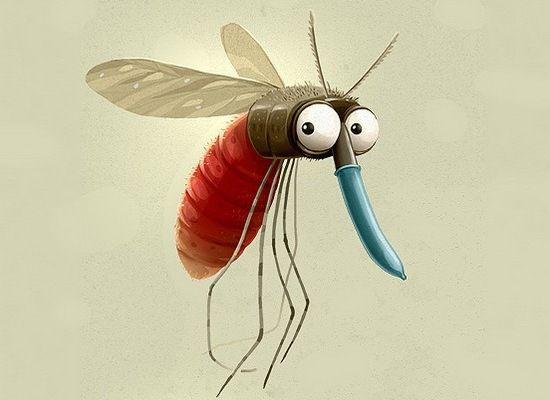 怎么吸引蚊子出来（有效吸引蚊子的方法和技巧）