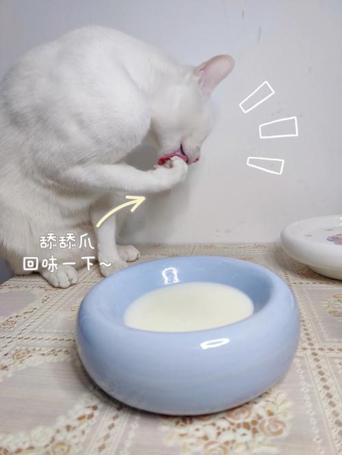 小猫能喝牛奶吗（关于小猫喝牛奶的营养和喂养建议）