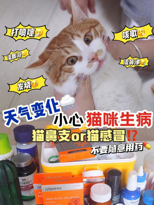 猫咪感冒症状表现（分析猫咪感冒时的常见症状和表现）