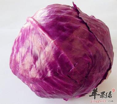 紫甘蓝能生吃吗(食用方法及营养价值介绍)