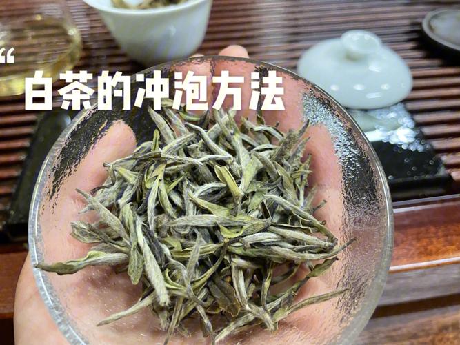 白茶冲泡方法（如何正确冲泡白茶）