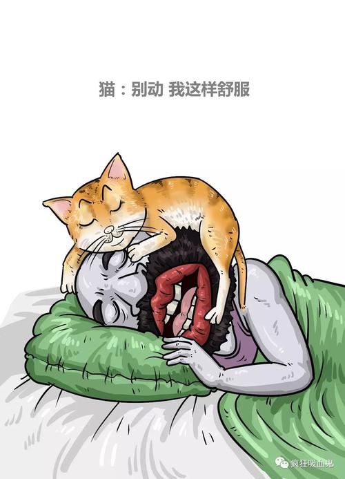 男女不养猫狗的原因（揭示男性不养猫女性不养狗的真正原因）